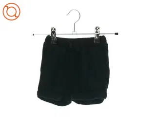 2 par shorts fra Petit (Str. 74)