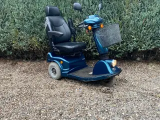 El scooter