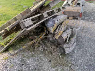 Blandet Løvtræ op til ca. Ø20 cm.