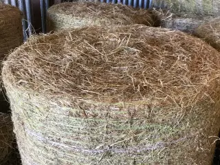 Hø 
