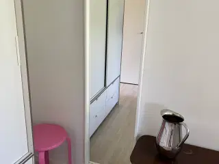 Spejl