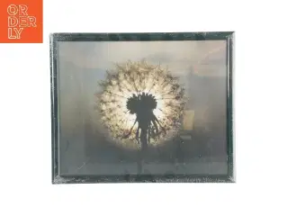 Billedramme med billede fra(str. LBH:33,5x27,5x2cm)