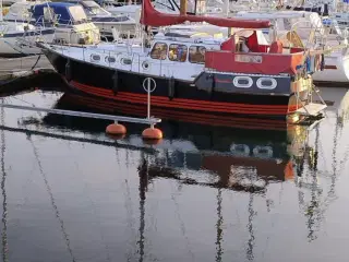 Motiva31