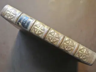 mesopotamia and assyria from the earliest ages to 
