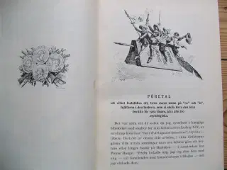 De tre Musketörerna i 2 bind