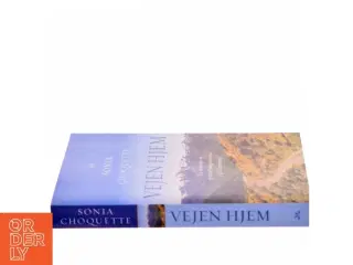 Vejen hjem : en healende og spirituel pilgrimsrejse på Caminoen af Sonia Choquette (Bog)