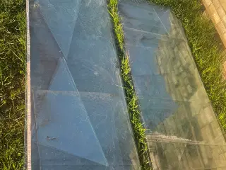 Drivhus glas