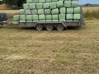 Miniwrap 