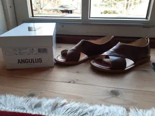 Angulus Sandaler