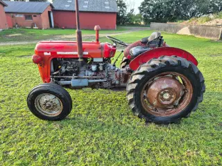Massey Ferguson 35x multipower