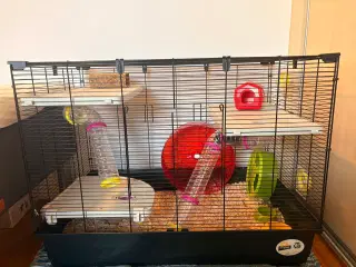 Guldhamster inkl. bur