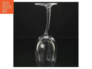 Vinglas (str. 18,5 cm)