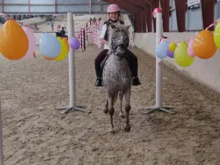 3èr pony hoppe