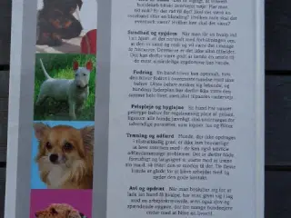 Hunde