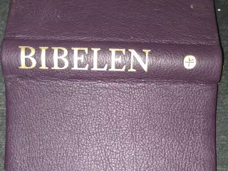 Bibelen det gamle Testamentes kaninske bøger