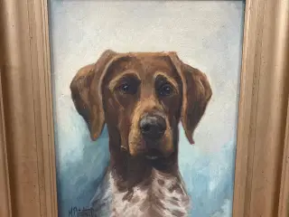 Maleri af hund