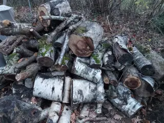 Brænde blandet løv