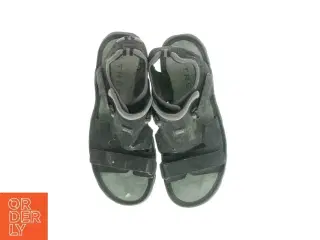 Sandaler fra Trex (str. 46)