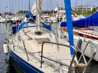 Albin ballad 30 fod