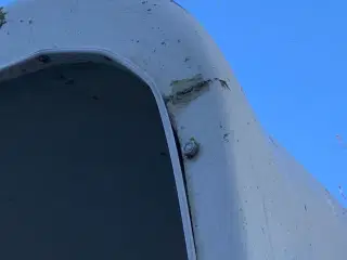 Hestetrailer med vognbeslag