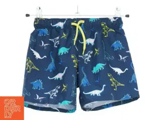 Badebukser med dinosaur print fra H&M (str. 104)