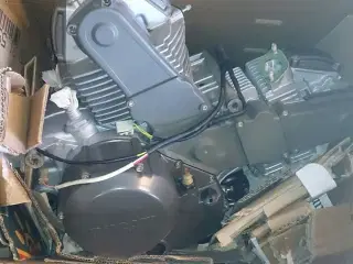 Ducati monster 600 motor