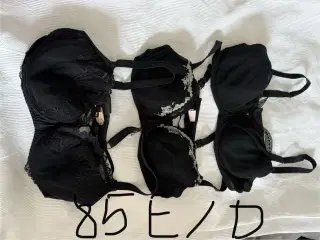 Bh 