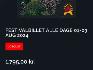 Søger Ringsted Festival Partout eller dagsbillet
