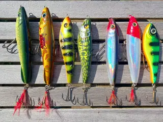 7 stk. Rapala, Savage Gear og Buster jerkbaits 