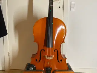 Cello - komplet kit