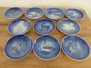 Platter