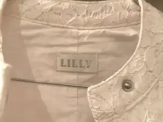 Lilly model