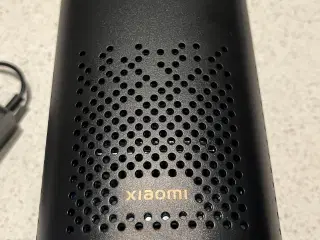 Smart (Google) speaker