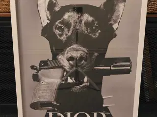 Dior Dog plakat