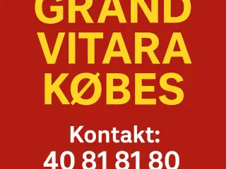 Grand Vitara købes