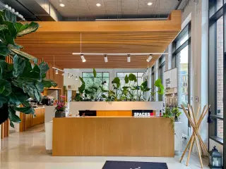 Smukt designet kontorplads til 2 personer i Spaces