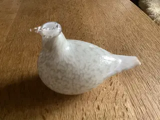  Dalrype 1981 OIVA TOIKKA