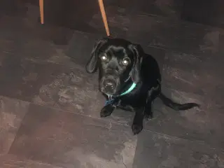 Cocker blanding på 6,5 mdr