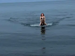 Skøn lille islænder 