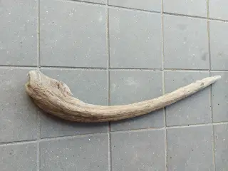 Drivtømmer,  flot buet stykke på 1 meter