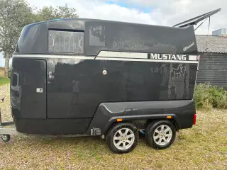 Nyrenoveret Mustang hestetrailer sælges
