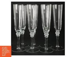 CHampagneglas (7 stk) fra Italesse