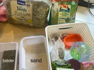 Dværg Hamster med alt udstyr