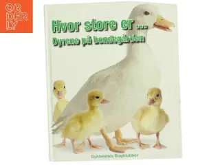 Hvor store er - dyrene på bondegården af Marie Greenwood (Bog)