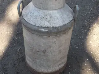 Mælkejunger 50 liter