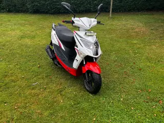VGA Explora Euro 4