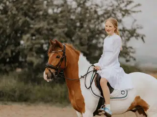 Billedskøn max. 3 pony