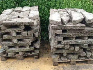 Brudplantesten/Knækflisen