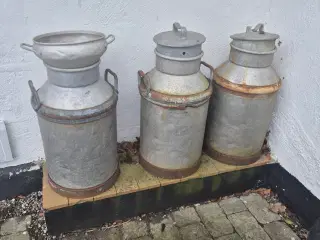 3 stk mælkejunger