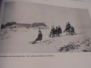 At drukne en hankat + andre fortællinger fra Læsø